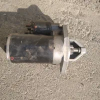 سهره . قناری|پرنده|خمینی‌شهر, |دیوار