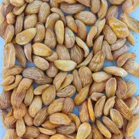 خرید انواع بادام|خوردنی و آشامیدنی|شهرکرد, |دیوار