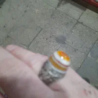 انگشتر سه رنگ