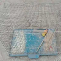 قفس طوطی ،قفس پرنده، اکواریوم|لوازم جانبی حیوانات|شهرضا, |دیوار