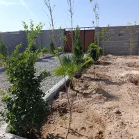 باغچه /چسب جاده / دیوارکشی با درب