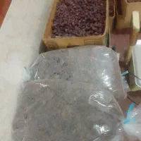 خرمای درجه یک|خوردنی و آشامیدنی|بستک, |دیوار