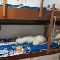 تخت دو طبقه