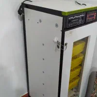 دستگاه جوجه کشی|لوازم جانبی حیوانات|کرمانشاه, |دیوار