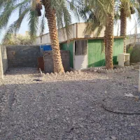 اجاره منزل|اجارهٔ آپارتمان|بم, |دیوار
