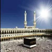 فروش فیش تمتع ۲ عدد