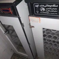 دوعدد دستگاه جوجه کشی برنده هدایت ۲۱۰تایی|لوازم جانبی حیوانات|لاهیجان, لفمجان|دیوار