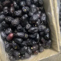 خرمای سروان|خوردنی و آشامیدنی|قم, آزادگان|دیوار