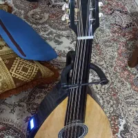 عود الکتریک حرفه ای وگیتارالکتریک|سازهای سنتی|پارسیان, |دیوار