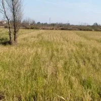 یک-هکتار-زمین-کنار-رودخانه-قره-چای-سمت-پل-دوآب