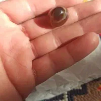 سنگ|کلکسیون اشیاء عتیقه|اصفهان, شاه پسند|دیوار