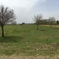 زمین|فروش زمین و ملک کلنگی|قزوین, |دیوار