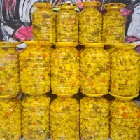 ترشی ده کیلویی ۲۸۰ فقط فروش عمده بالای ۲۰ دبه