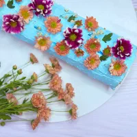 کیک و شیرینی خانگی|خدمات پذیرایی، مراسم|بندرعباس, |دیوار