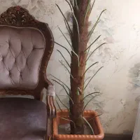 گلدان مصنوعی|گل مصنوعی|مشهد, آبکوه|دیوار