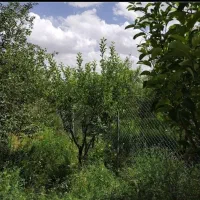 باغ بر اتوبان تهران دارای آب برق گاز|فروش زمین و ملک کلنگی|زنجان, |دیوار