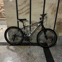 دوچرخه ویوا