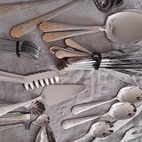 سرویس غذا خوری قاشق