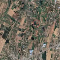 زمین کشاورزی فوشنجان