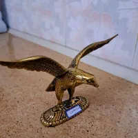 مجسمه حیوانات|مجسمه، تندیس، ماکت|تهران, والفجر (افسریه)|دیوار