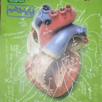 زیست خیلی سبز