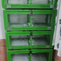 قفس راهکش|پرنده|اصفهان, قهجاورستان|دیوار