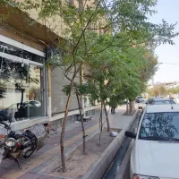 اجاره زیر زمین تجاری بهداشتی
