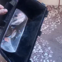 وسایل ماشین قیمت خوب|قطعات یدکی و لوازم جانبی|سنندج, |دیوار