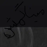 مرغ مینا گمشده