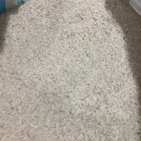 برنج شیرودی درجه یک خوش پخت