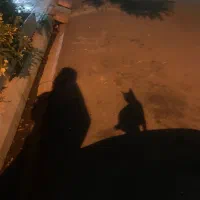 دوربین عکاسی