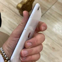 iphone se 2020|موبایل|تالش, هشتپر|دیوار