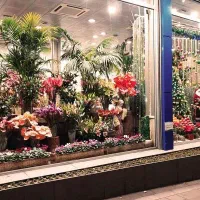 نیازمند مغازه برای گل فروشی