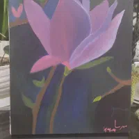 دو عدد بوم طرح گل