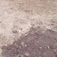 کود حیوانی خشک وپوسیده