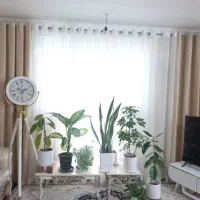 نصاب پرده|خدمات پیشه و مهارت|بندرعباس, |دیوار