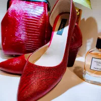 کیف و کفش چرم