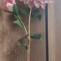 گل سالنی چراغ دار