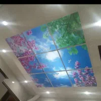 نصب سقف کاذب پی وی سی|خدمات پیشه و مهارت|کرج, حاجی آباد|دیوار