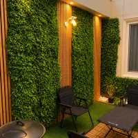 فروش گرین وال سیکاس