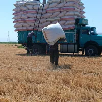 تک باری|خودرو سنگین|دهگلان, |دیوار