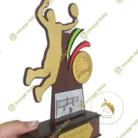 تندیس ورزشی فوتبال، والیبال، تنیس،کاراته، داوری|مجسمه، تندیس، ماکت|اصفهان, خانه اصفهان|دیوار