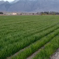 فروش ۲۴ ساعت آب زمین کشاورزی
