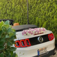 اجاره فورد موستانگ کروک|خدمات پذیرایی، مراسم|رشت, استقامت ۱|دیوار