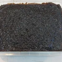 تولید و پخش حلوا سیاه|خوردنی و آشامیدنی|اردبیل, |دیوار