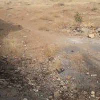 فروش زمین ۵۰۰متری روستای سورک