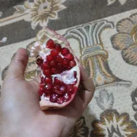 انار کیلوی ۵۰|حراج|نورآباد, |دیوار