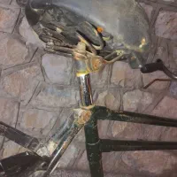 دوچرخه ۲۸قدیمی، عتیقه، تمیز و بکر|دوچرخه، اسکیت، اسکوتر|صدرا-فارس, فاز ۱|دیوار