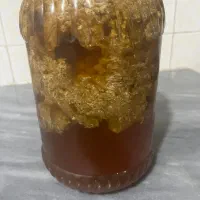 عسل طبیعی|حراج|شوشتر, |دیوار