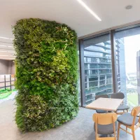 گرینوال  مصنوعی  تراکم بالا و مشابه طبیعی|گل مصنوعی|تهران, بازار|دیوار